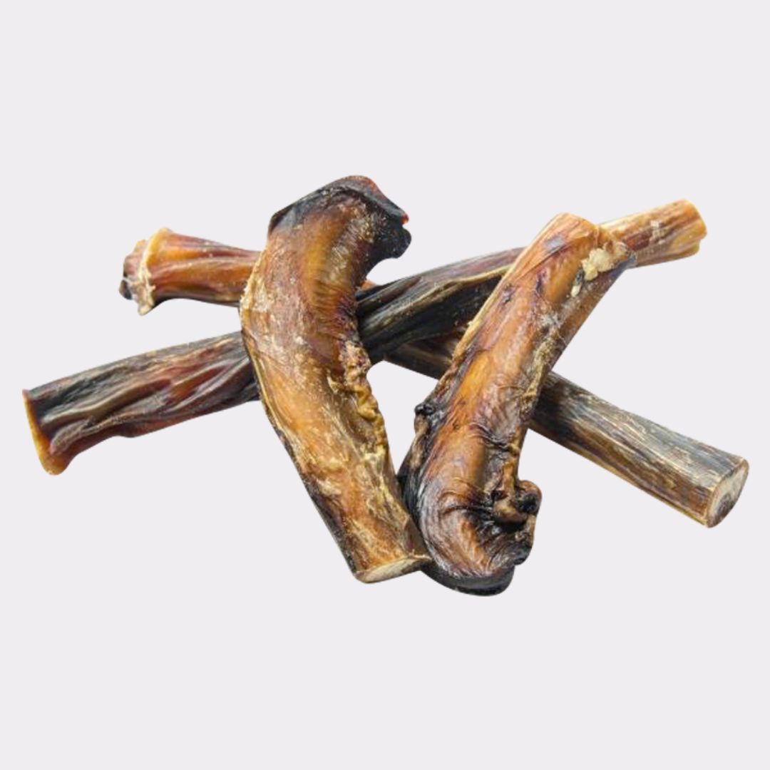 Pizzle sticks for dogs hot sale